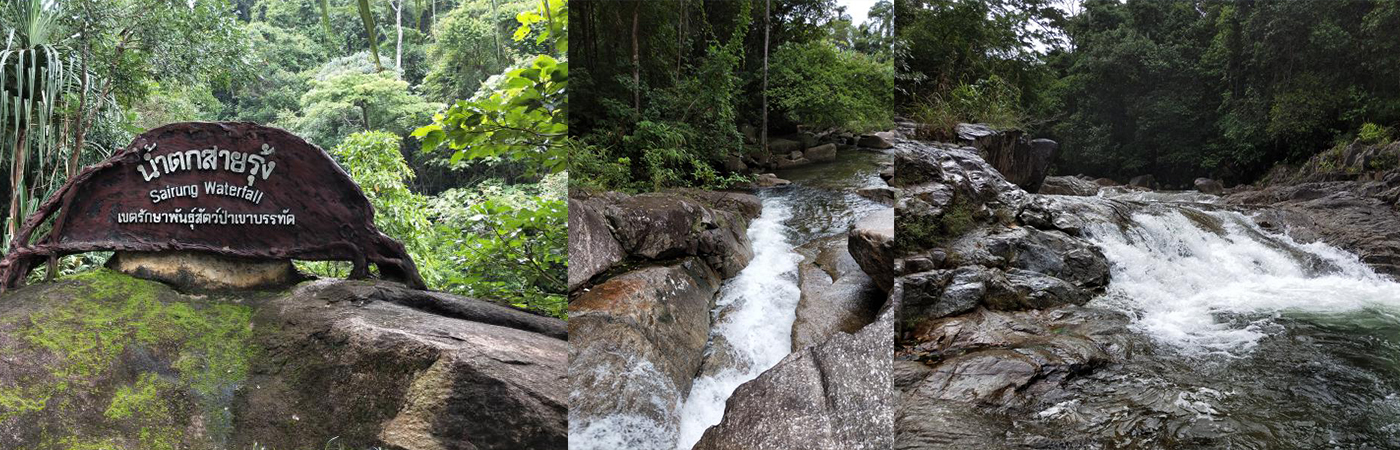 trang